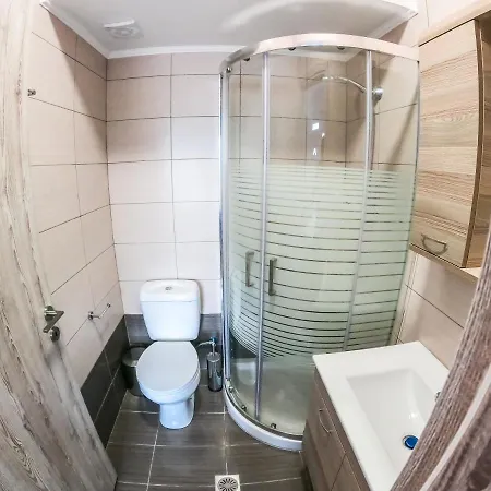 Red Hibiscus Stegna *