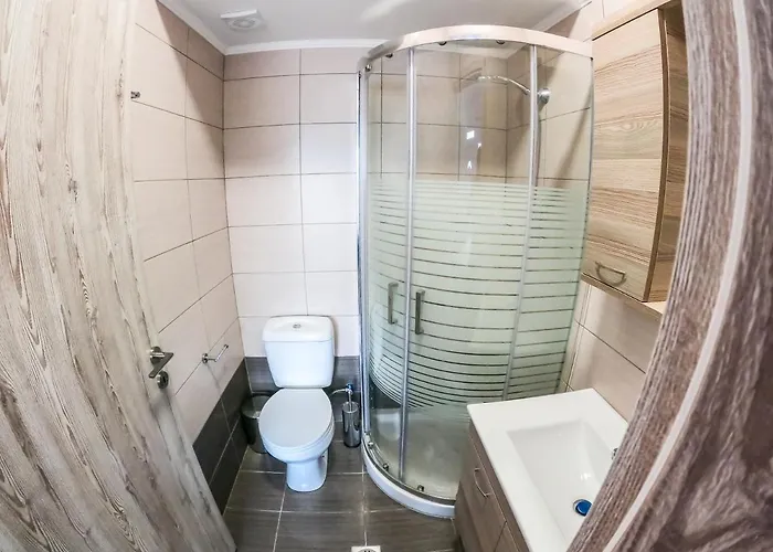 Red Hibiscus Stegna *