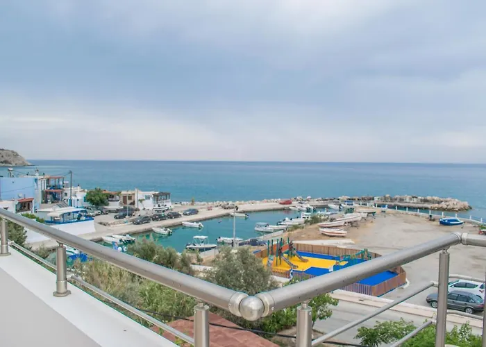 Red Hibiscus Stegna *