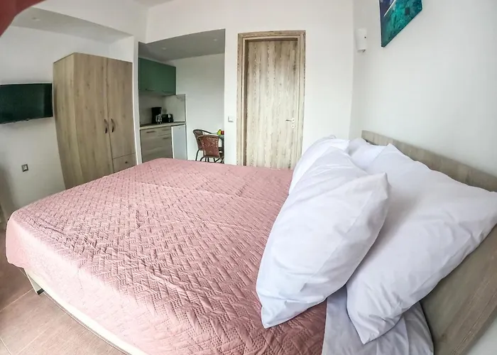 Red Hibiscus Stegna * أرخانجلوس