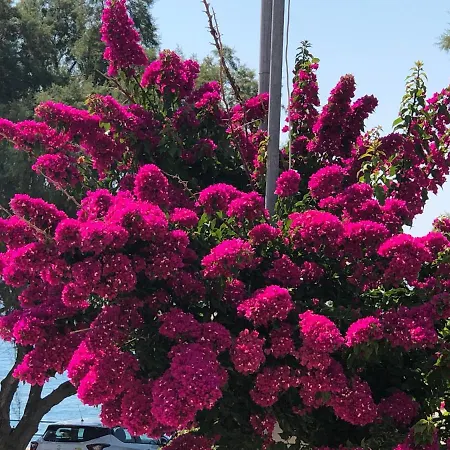 Εξοχικό σπίτι Red Hibiscus Stegna