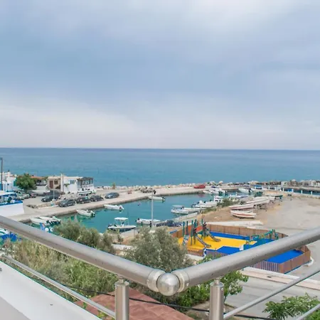 Red Hibiscus Stegna *