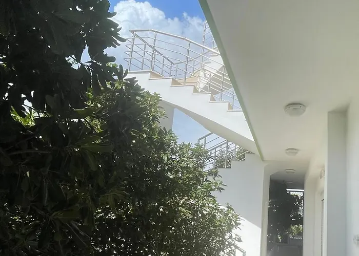 Gospodarstwo wiejskie Red Hibiscus Stegna