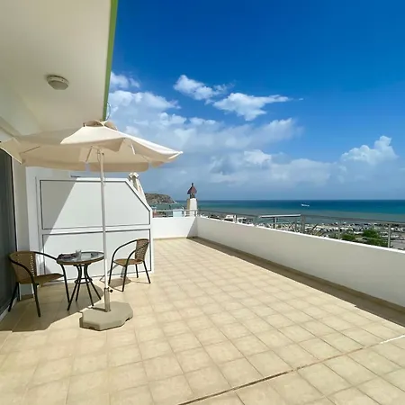 Red Hibiscus Stegna *