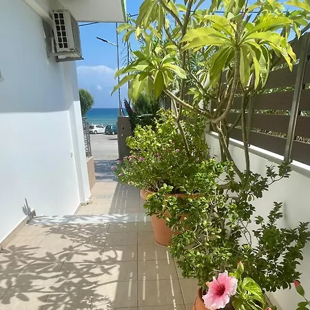 Red Hibiscus Stegna Landhaus