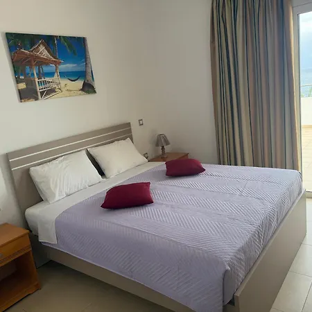 Red Hibiscus Stegna *